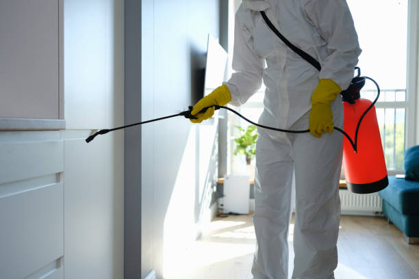 Professional Mold Removal in Round Rock, TX